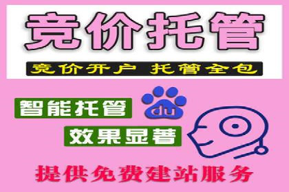 Sem优化公司案例：快速提升网站排名